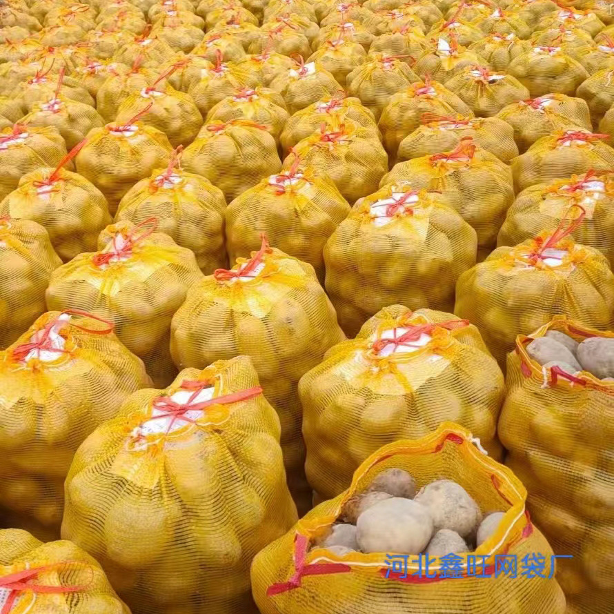 Bolsa de malla amarilla trenzada bolsa de maíz frijol reutilizable bolsa de malla de verduras papas calabaza bolsa de malla de verduras