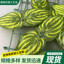 �羳����h�ʾ�ͥԺ�G�~���ھGֲ�ړ��ř�����G�}����ֲ�����l