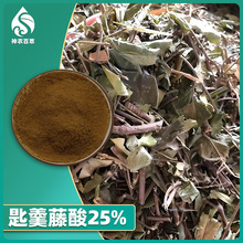 匙羹藤酸25% 武靴藤酸25% 武靴藤提取物医药保健化妆品原料粉工厂