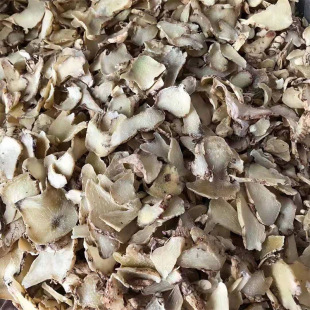 �׼�����ܸ��ș�İ�ܸ��Ƭ��ܸ���ɴ�ĥ�������ܸ��؛����؛