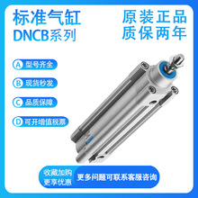 ԭ�b�M˹�� DNCB-63-25/50/100/150/200/500/1000-PPV-A ��׼���