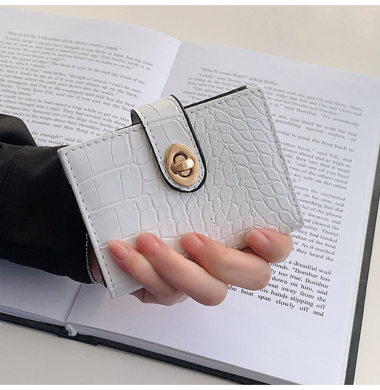 New Short Wallet Stone Embossed File Holder Paint Card Holder Clutch Lock Women's Coin Purse display picture 12