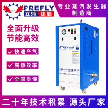 厂家电加热蒸汽发生器酿酒加热全自动控制食品药材蒸煮电蒸汽加工