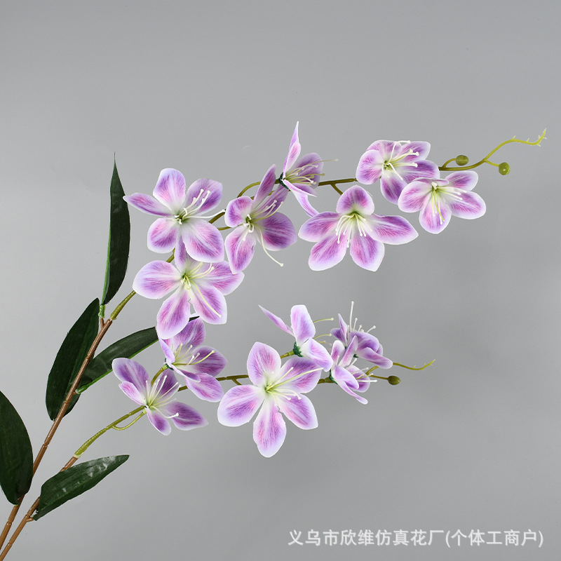 垂丝茉莉紫色