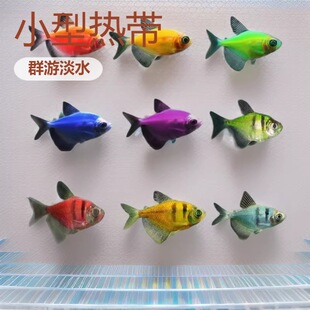 ���O��������ʹ�~���l���w�Ꭷ�^�p�~�t�{���S�G����ϻ���ʝO��