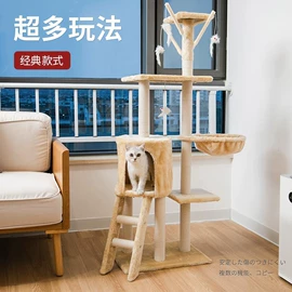 猫爬架;猫猫玩具;猫猫窝/笼/垫