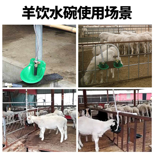 Sheep drinking bowl plastic sheep drinking fountain water bowl sheep raising equipment drinking trough sheep automatic drinking