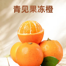 �������r�Ĵ���Ҋ�����Ȯ���ˮ�����Ӹ����۽���9��������°��]