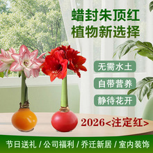 Ϟ����피t�N��o�ˮ�����洰̨�Y����������ͶY�������ע���t