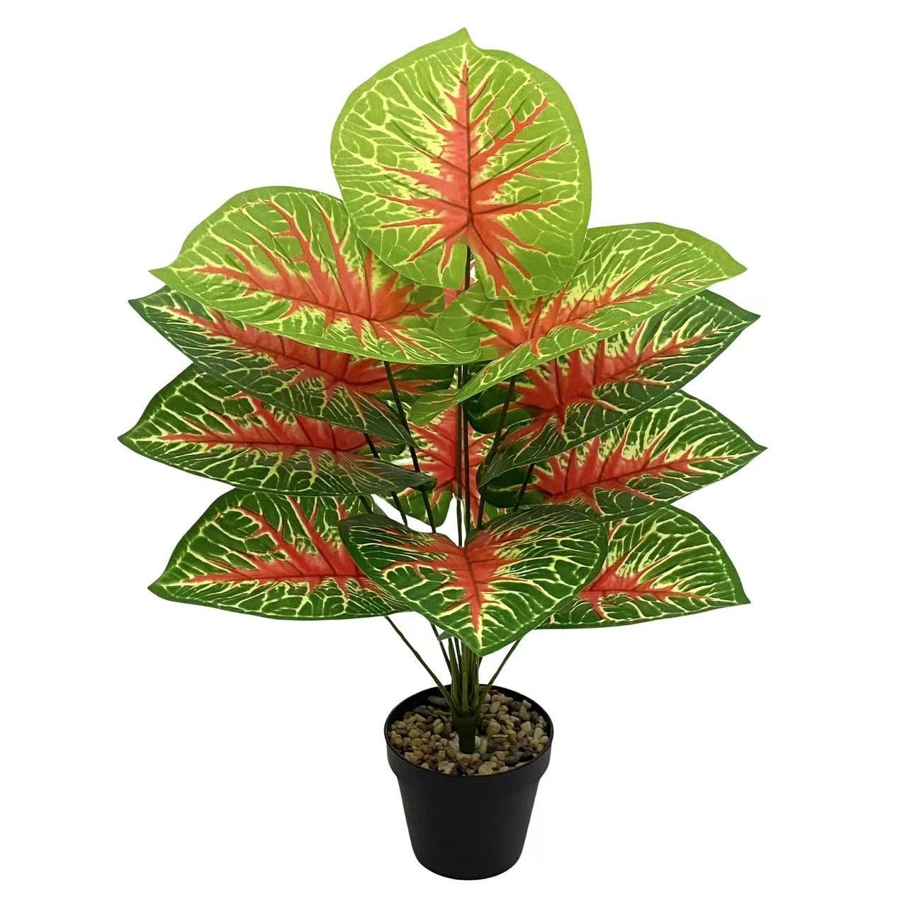 微信图片_20250319155442_副本