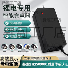 �늳�늄�܇�����48V36V60V24V2A72V�܇��x�ӹ���ƽ��܇ͨ��