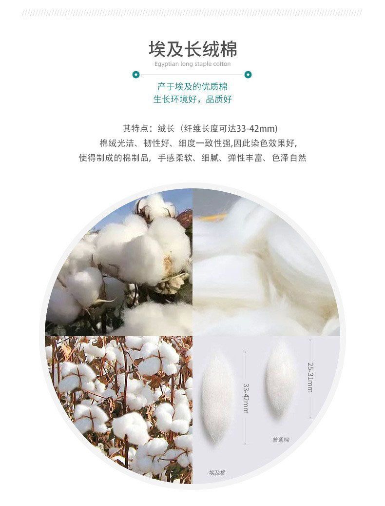 埃及棉特性.jpg