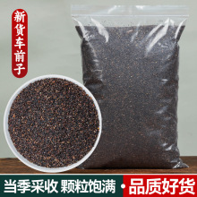 ܇ǰ����ș��܇ǰ�ӷ���܇ǰ�ӷ�܇ǰ����ˮ�ݲ�������