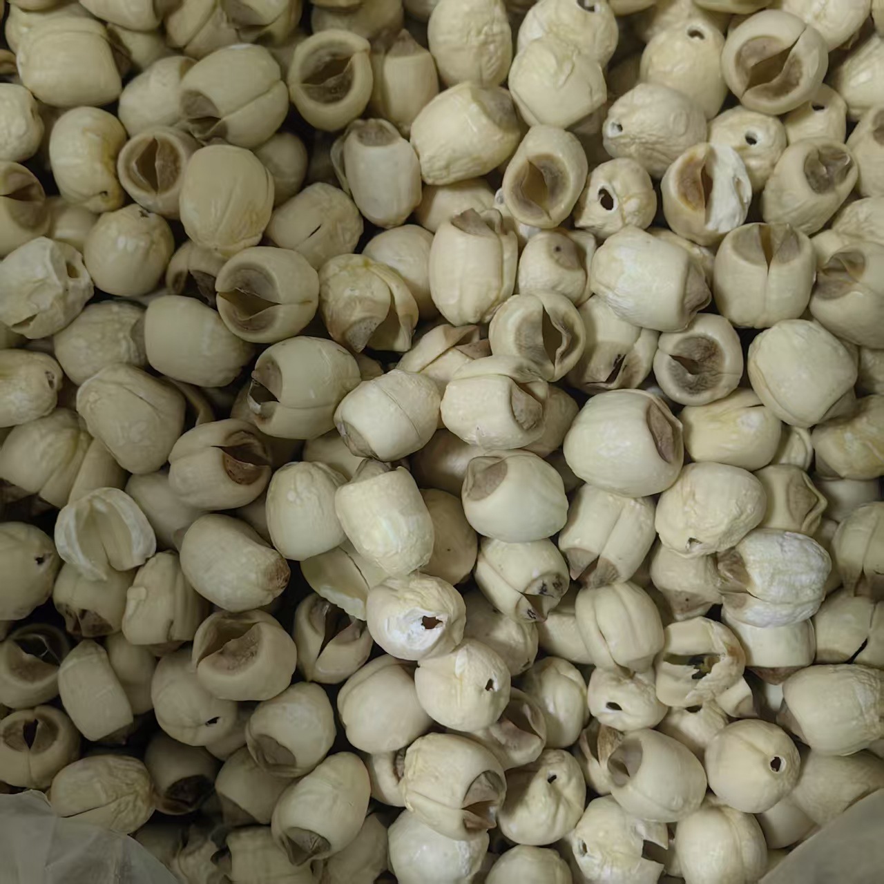 Dried Lotus Seeds Lian Zi 500g Coreless White Lotus Seed Kernels from Hunan for Soup Congee and Herbal Cooking key features