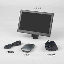 显微镜;目镜、物镜;反射镜