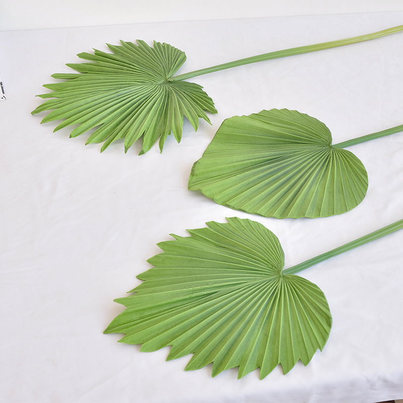 PU蒲葵の葉の家庭装飾の生け花の緑色の植物の軟装の1本の扇子の芭蕉の葉の蒲扇の葉の偽の緑の植|undefined
