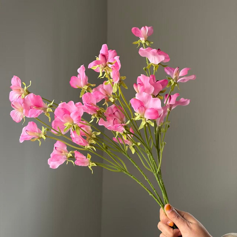 Cross-Border Hot-Selling High-Quality Single-Stem Artificial Pea Flowers, Quality Source Factory Wholesale for Soft Decoration