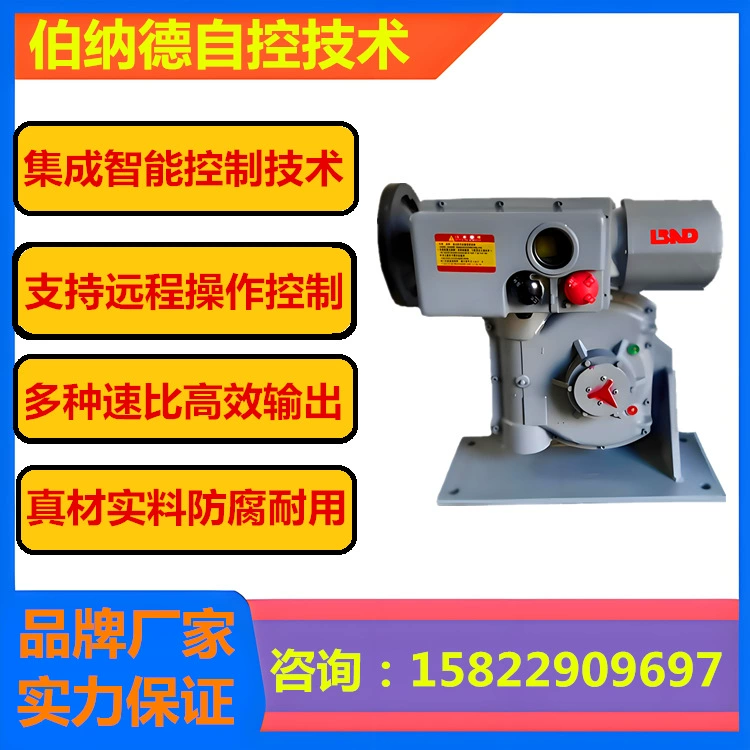 B+RS250 Bernande угловой ход электрический привод база электрический привод скидка оптовая продажа