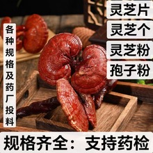 灵芝 中药材批发 灵芝片 灵芝 干净无杂 支持药检 承接订单
