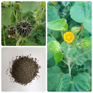 ����N������N��Ұ�r�龀������N��С���������K�N��������N��