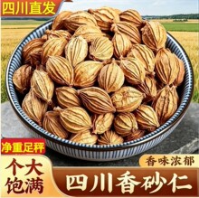 四川香砂仁川砂仁金砂仁非春砂仁四川产调料卤料八角桂皮批发代发