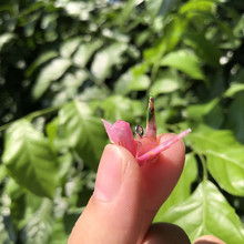 DIY�ֹ��������h�Ʒ���z��ˮǧ���Q�������L�ۼ����h������