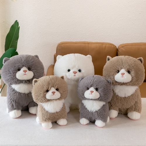 Cute simulation cat doll doll kitten budo plush toy scratch machine doll girl pillow gift wholesale