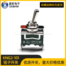 o_PKNG2-101_ən܄_P u^u_P6A 250V