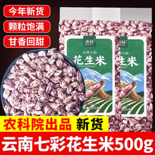 农科院云南特产新七彩花生米新鲜晒干去壳零食生花生米种籽子