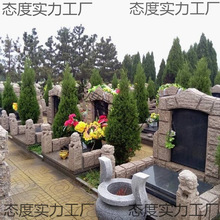 宝塔树苗塔柏松树树蜀桧墓地桧柏桩松柏松柏真树塔松松苗大型扫墓