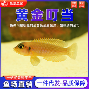 �S�𶣮��~����������̹ؐ�����Rؐ�S�������B��P�P���~���B�ͻ�