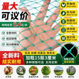 跨境养殖网防鸟网防逃网尼龙网爬藤网果树大棚蔬菜养鸡网定制渔网
