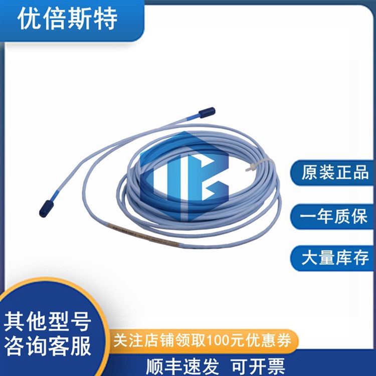 Bently Nevada 本特利 130938-01-10-01 延长线缆