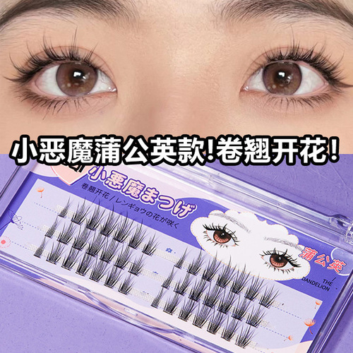 BQI Gradient False Eyelashes Single Cluster Bulk Dandelion False Eyelashes Curling Eyelashes