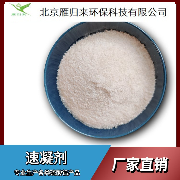 硫酸铝厂家货源 造纸水处理絮凝沉淀剂工业级粉末状块状无铁明矾