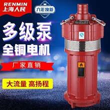 掷桢上海人民QY油浸小老鼠农用灌溉工程降水抽水泵多级泵高扬程潜