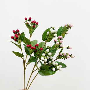 ��ꖽ�z�ҹ��߷���Ұ��������������������˼����c�bٻ����l