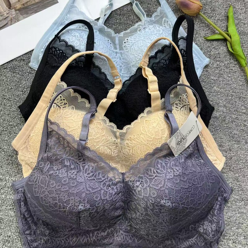 No Steel Ring Lace Underwear South Korea Sexy Gather Back Wholesale Southeast Asia Mexico Cuba