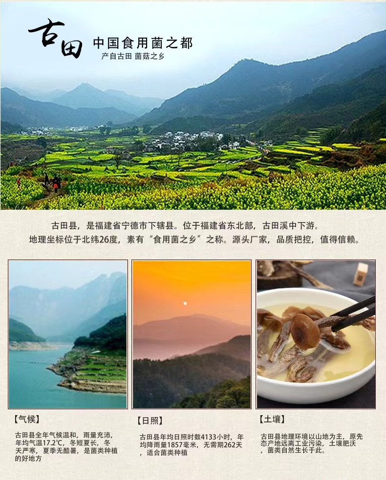 Dried Lyophyllum decastes Mushrooms Lu Rong Gu 60g Culinary Soup and Stir Fry Fungi key features