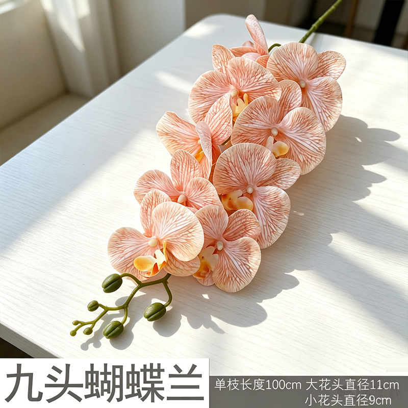 3D Phalaenopsis màu lúa mì mới