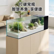 Ϫ����2025�¿��~��һ�w�ȞV���~���쾰ȫ�׸ɝ���x�~����ѭ�h