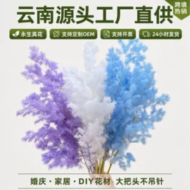 鲜花花艺制品;干花;永生花