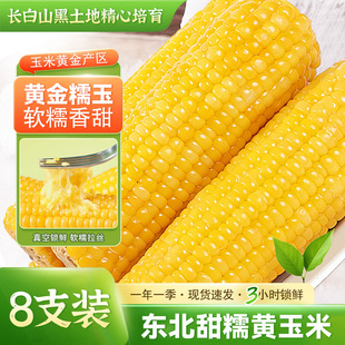 �|���S�������rŴ�������l����Ŵ���ת�����հ��b8֧������