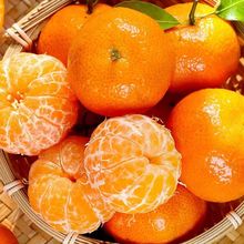 ���ڏV��ɰ���ٽ���ɰ����9�����rˮ���Fժ��Ƥ��֭�o��С������