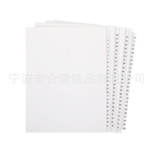 101 tabs  dividers 101퓷ָ�퓲�ɫ�t�S�{�G�����A�TᔊA�R��