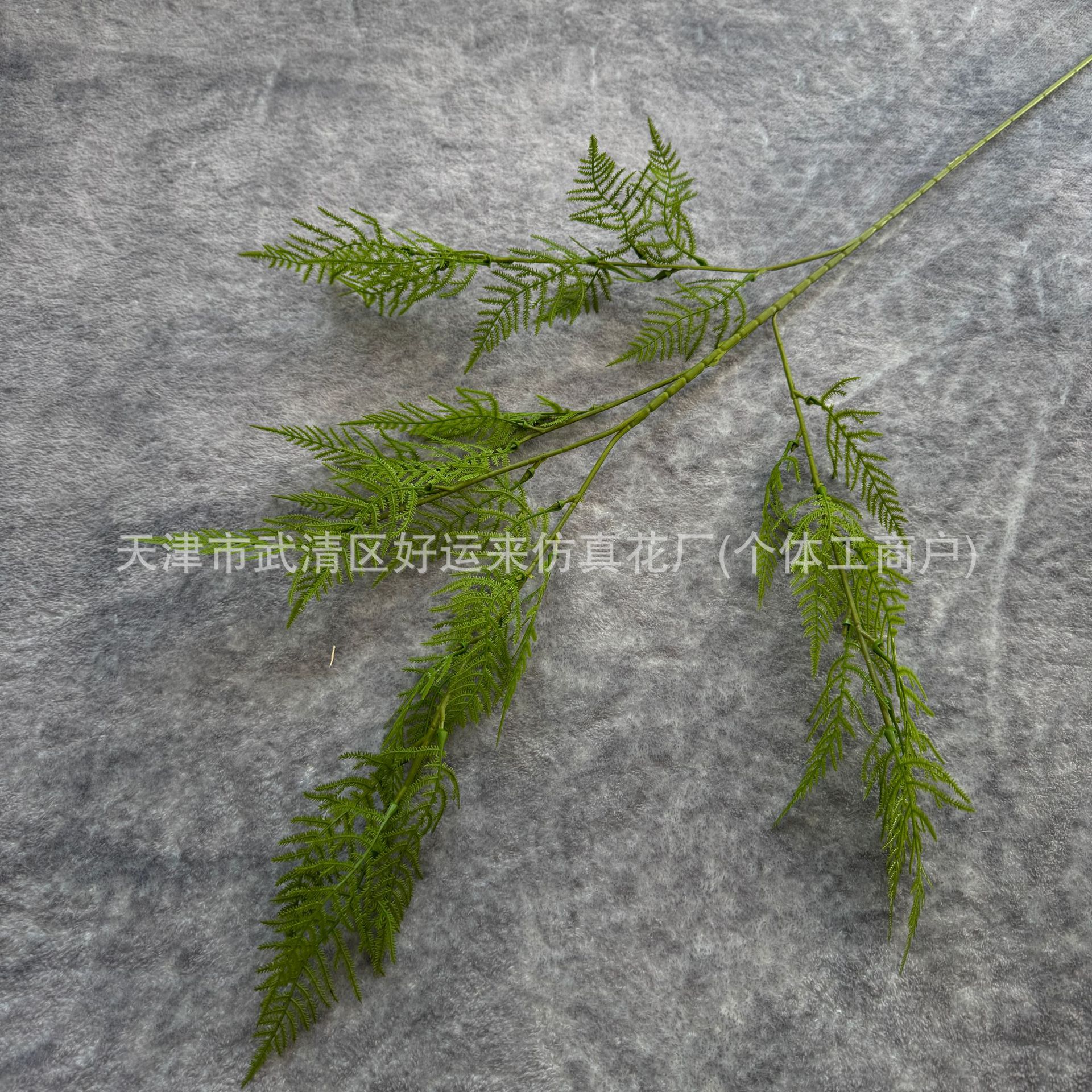 아스파라거스 그린 느낌