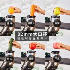 Commercial Quiet Juicer Juice and Pulp Separator Fruit Frying Home Portable Juicer Electric Juicer Wholesale 