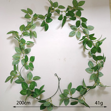 ����õ���~�b��ٗl�٘��~�����p�@�����b�ֲ��G��������õ���~