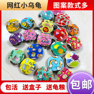 �W�t�߲�С����������w��ɫ�Ų��^�p�������ؔ�С�������]ˮ��