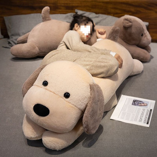 �ɐ��L�l���^Ů��������˯ë�q��ߴ�̖�������޴�